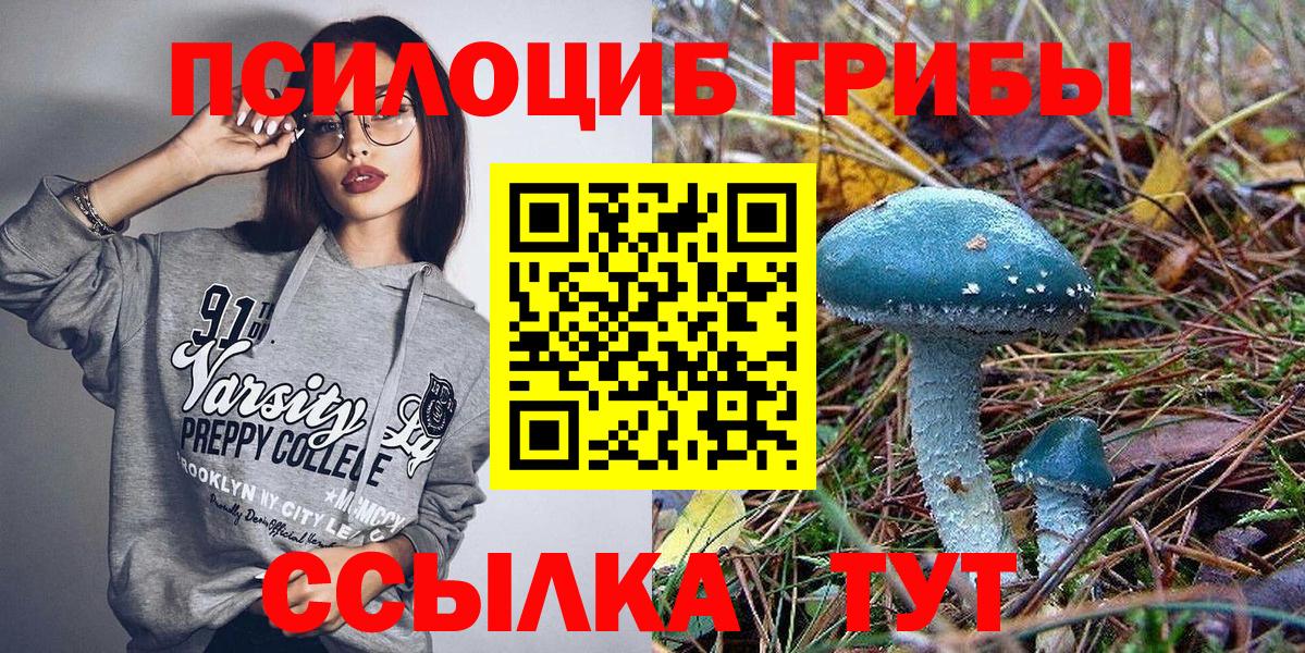 Галлюциногенные грибы мухоморы Каспийск
